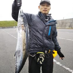 船・ジギング釣り果・カンパチ・サワラ・ワラサ・アジ